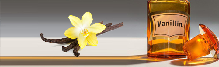 Bio Vanillin Market