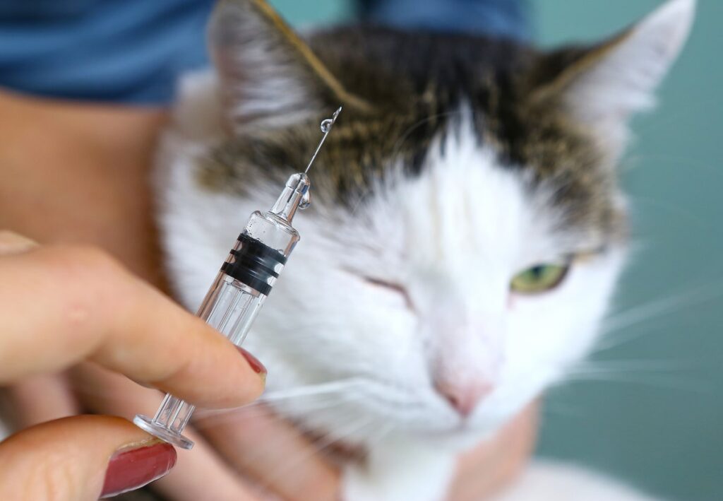 Companion Animal Vaccines Market