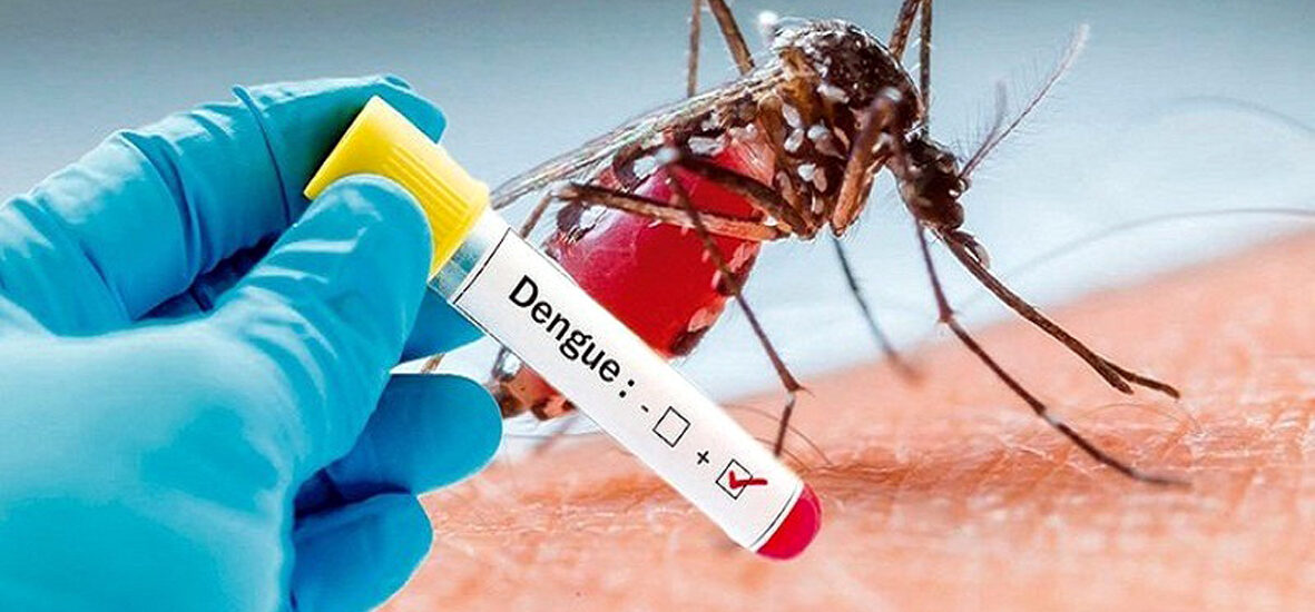 Global Dengue Vaccines Industry
