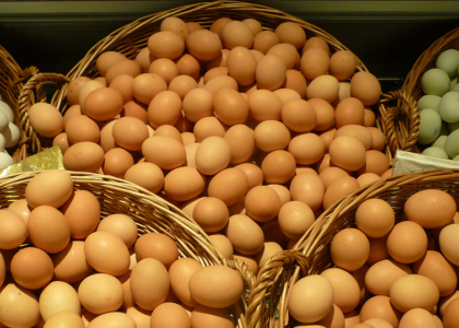 Dried Eggs Market