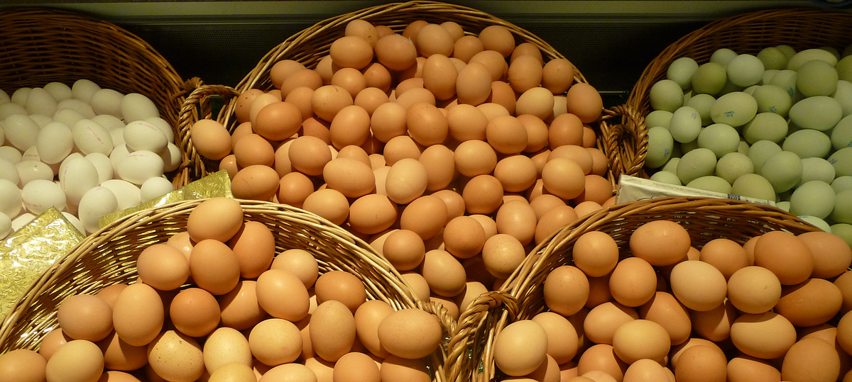Dried Eggs Market