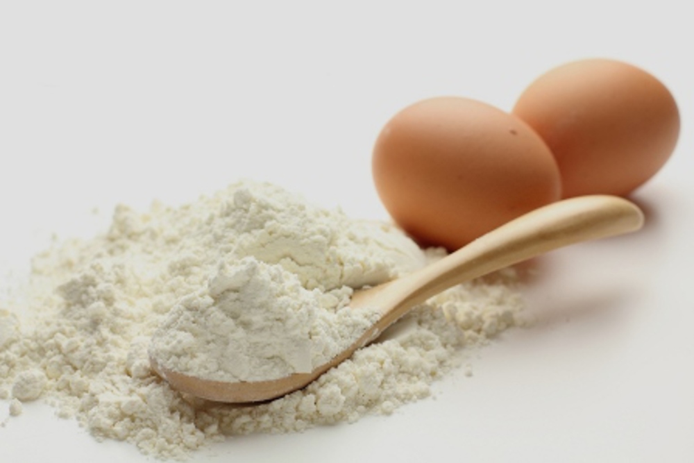 Egg Albumin Protein Market