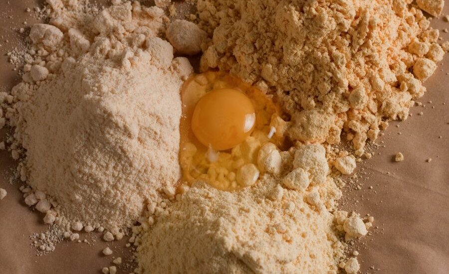 Egg Powder Market