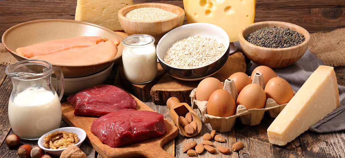 Eubiotics Industry Eubiotics Industry