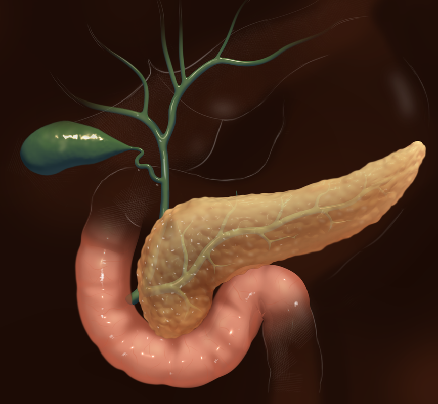 Fecal Pancreatic Elastase Testing Market