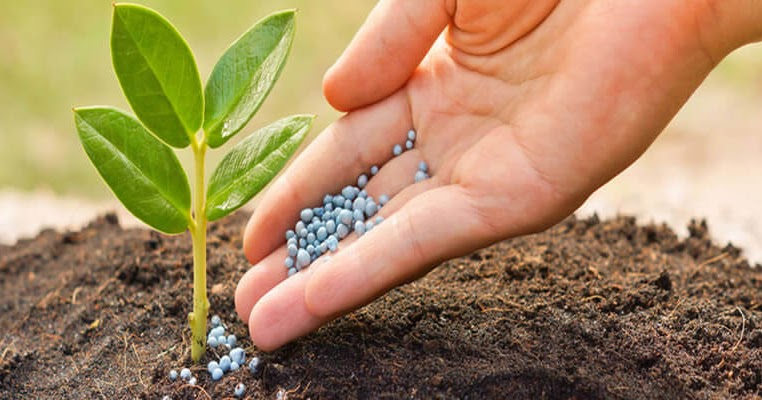 Fertilizer Additive Market