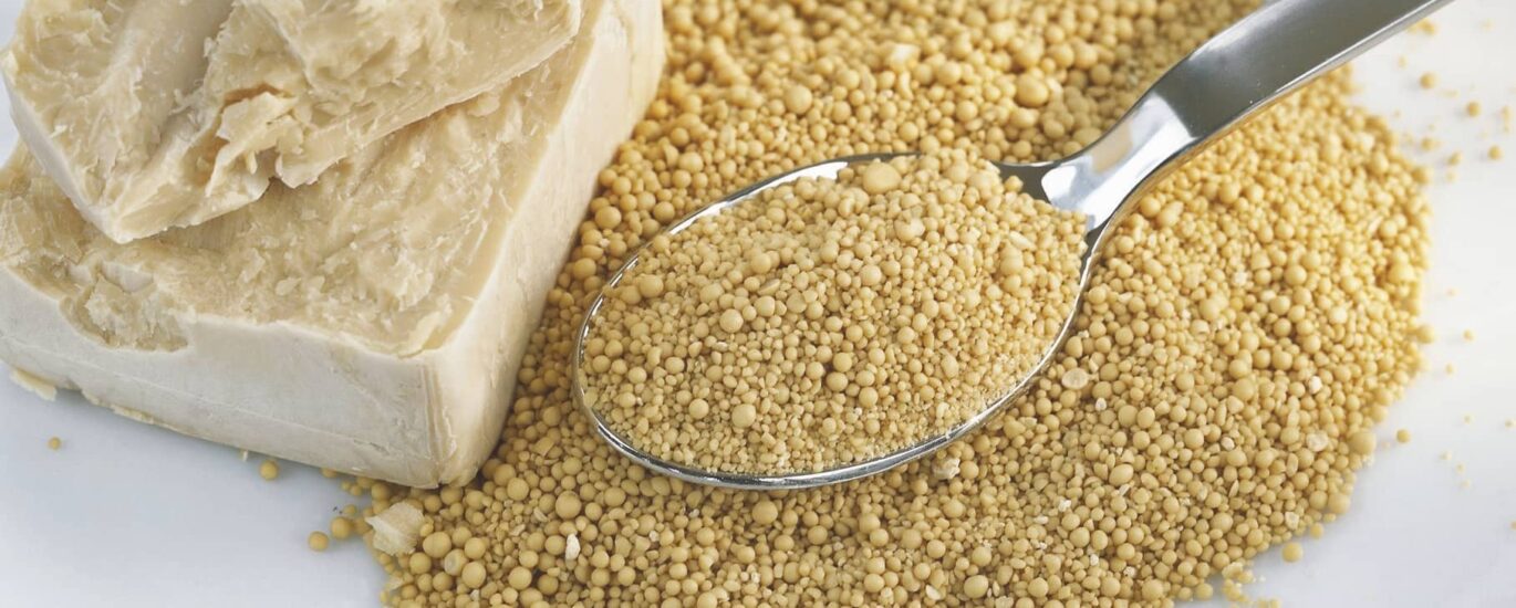 Fortified Yeast Market