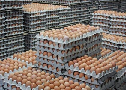 Frozen Egg Market