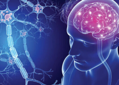 Brain Metastasis Therapeutics Market