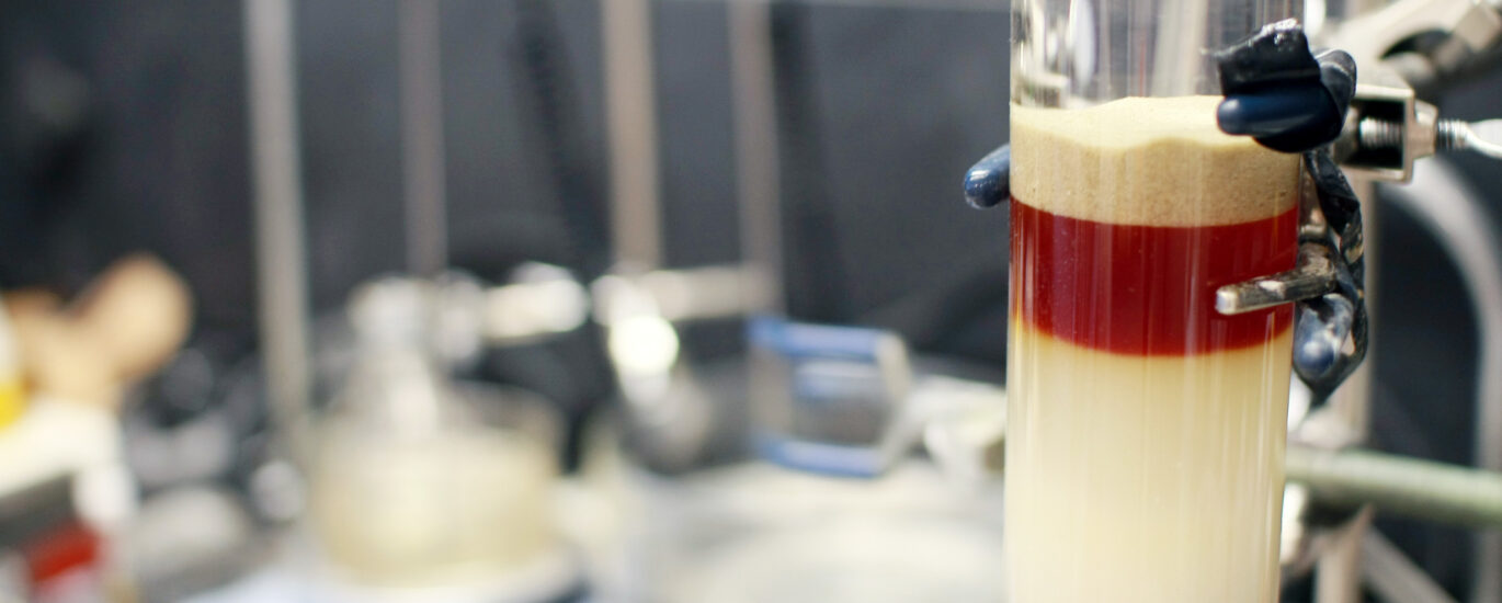 Global Chromatography Resin Industry