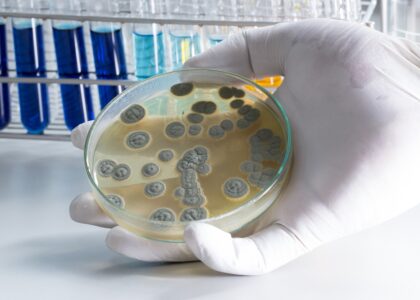Global Microbial Therapeutic Products Industry