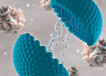 Novel Drug Delivery Systems In Cancer Therapy Market