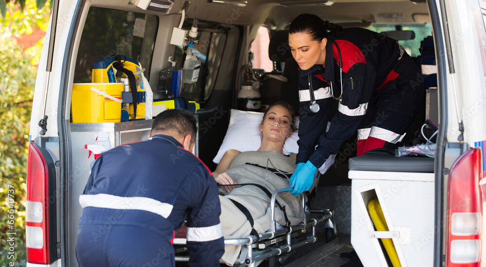 Global Patient Transportation Industry