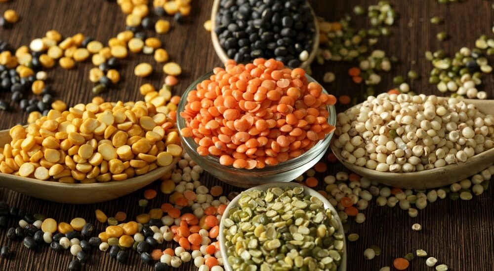 Lentil Protein Market