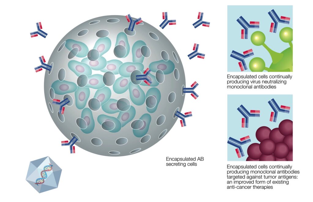 Live Cell Encapsulation Market