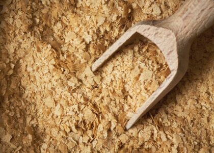 Nutritional Yeast Market