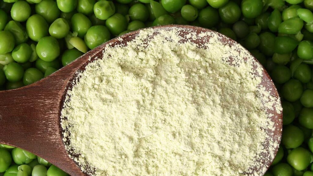 Pea Protein Ingredients Market Pea Protein Ingredients Market