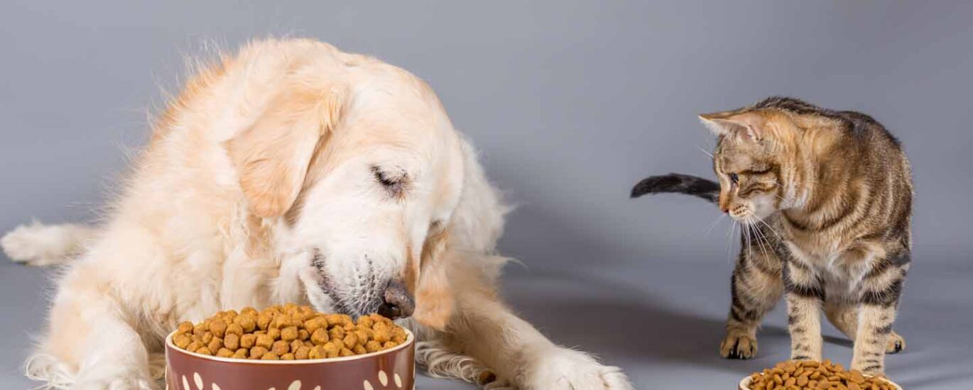 Postbiotic Pet Food Market