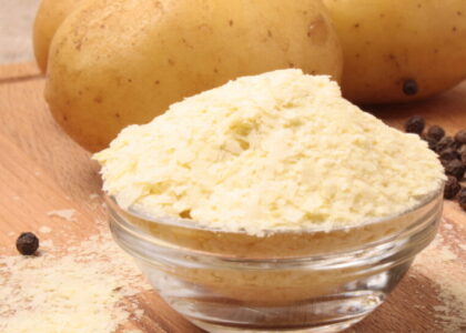 Potato Flakes Market