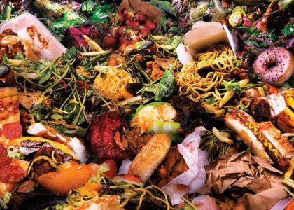 Products from Food Waste Market