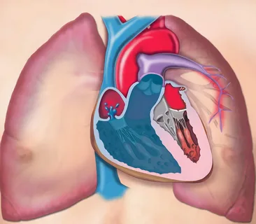 Pulmonary Arterial Hypertension Treatment Market