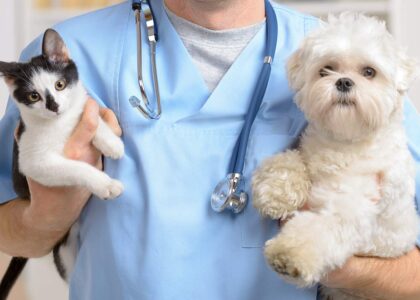 Global Veterinary Services Market