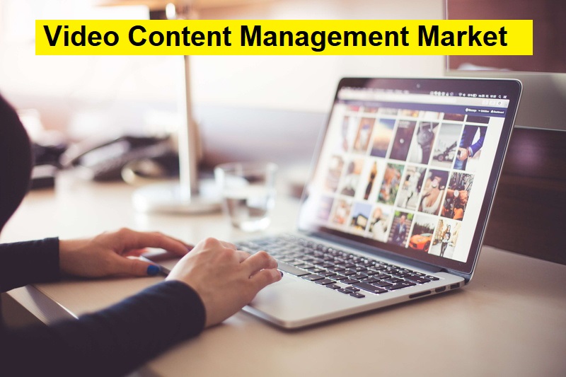 Video Content Management Market