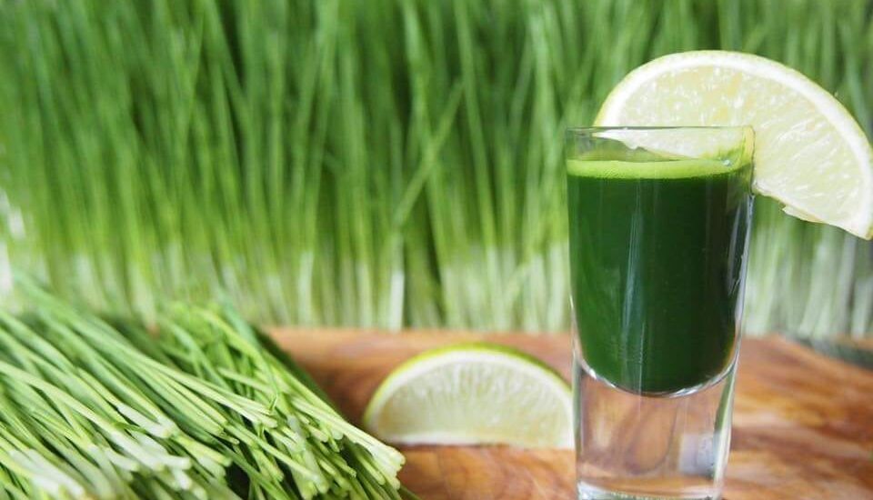 Wheatgrass Products Market