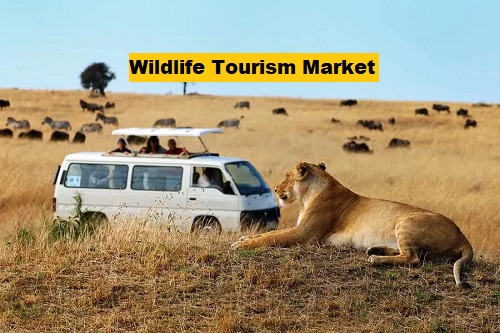 Wildlife Tourism Market Gears Up for an Impressive US$ 219.9 Billion Industry Valuation by 2032 | FMI - FMIBlog