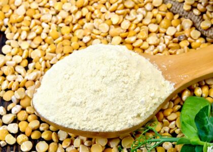Yellow Pea Protein Market