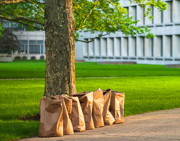 Lawn and Leaf Bags Market