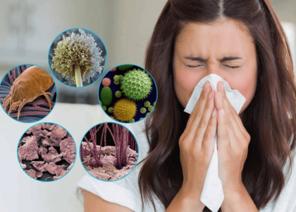 Global Allergy Treatment Industry