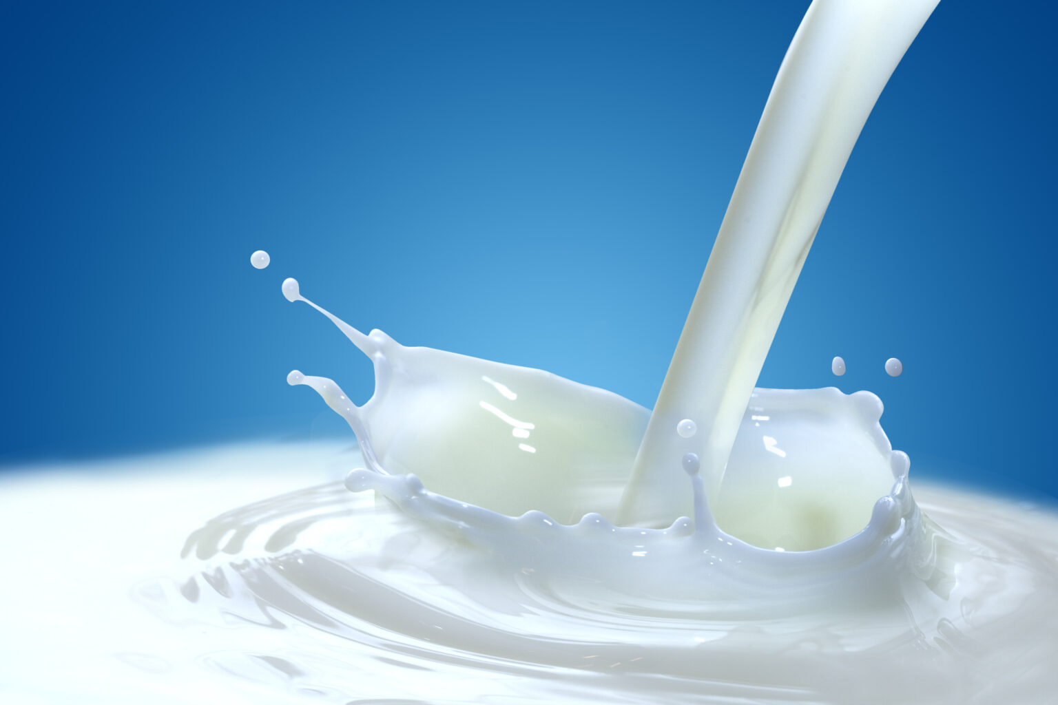 Exploring the Growth Trajectory of Dairy-free Evaporated Milk Market ...
