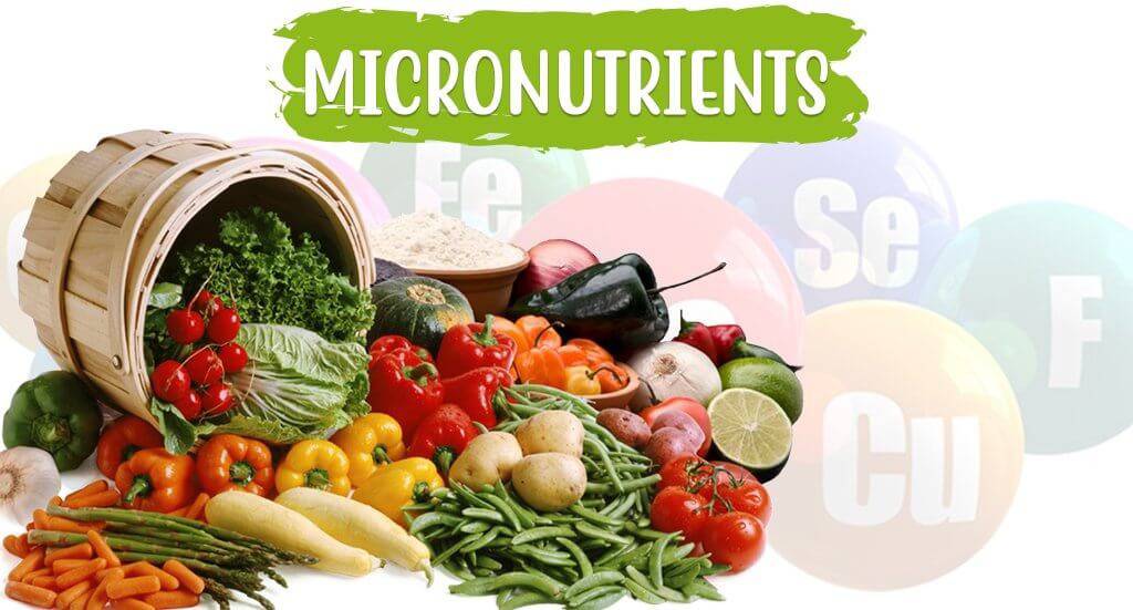 Feed Micronutrients Market 