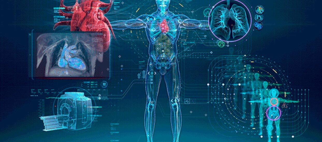 Global Biosimulation Industry