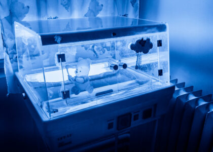 Global Neonatal Thermoregulation Industry