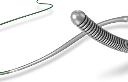 Global Neurovascular Guidewires Industry