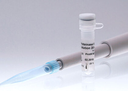 Global Proteinase K Industry