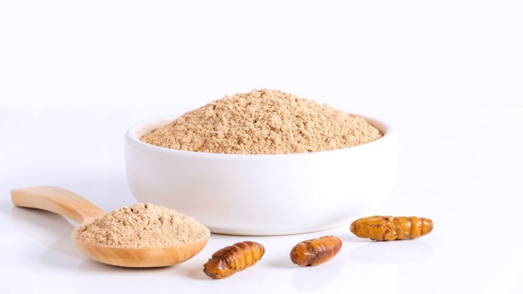 insect protein market