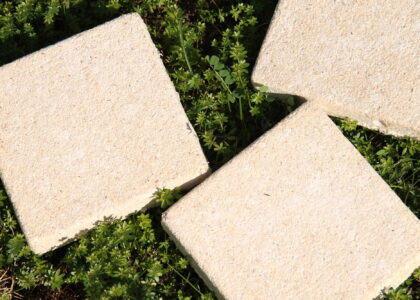 Mushroom Materials Market