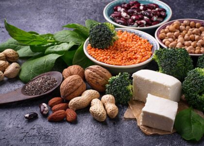 Plant-Derived Proteins Market
