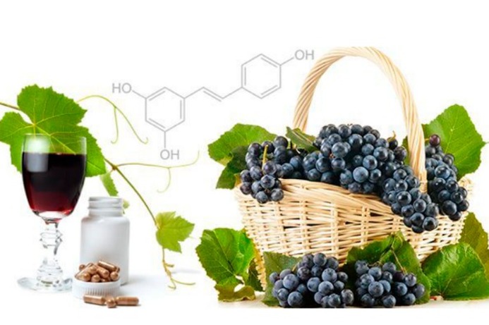 Resveratrol Market 