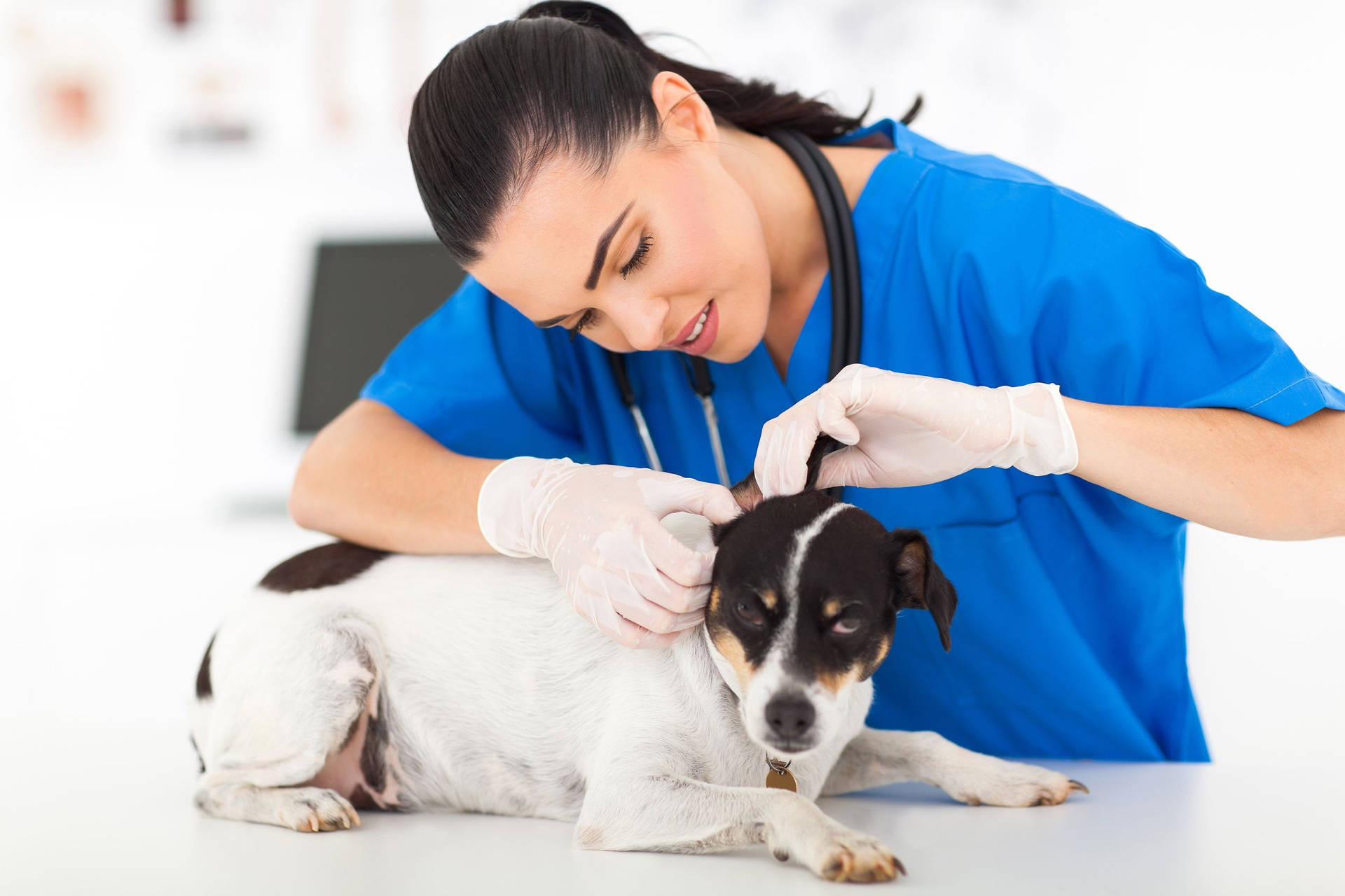 Global Veterinary Biologics Market Set for Significant Growth