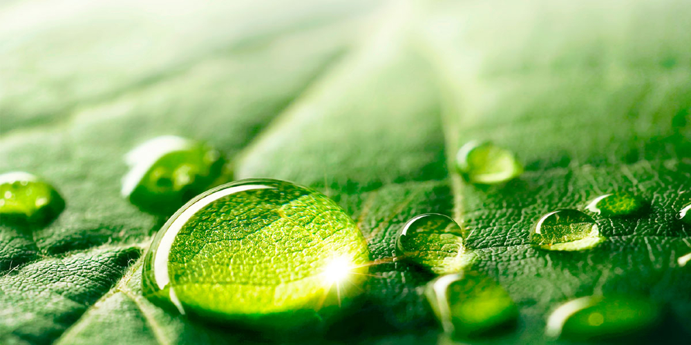 Agricultural Surfactant Market