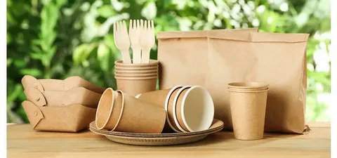Biodegradable Paper and Plastic Packaging Market