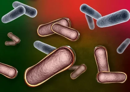 Biotherapeutics Virus Removal Filters Market