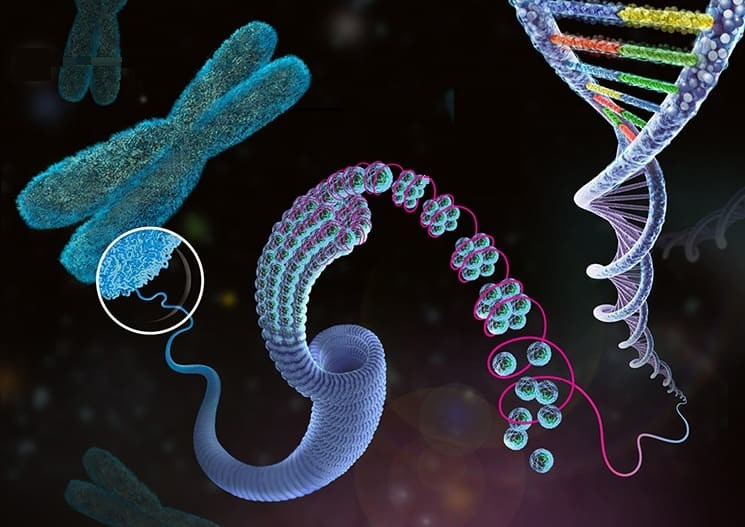 Cell-Free Fetal DNA Testing market