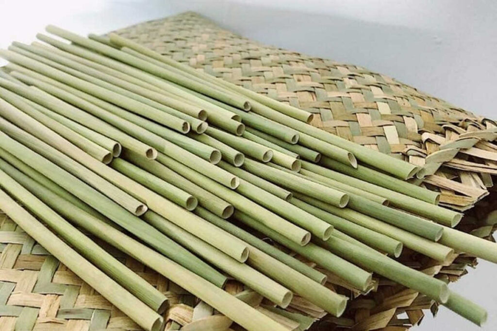 Eco-Friendly Straws Market