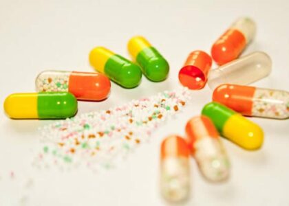 Global Empty Capsule Industry