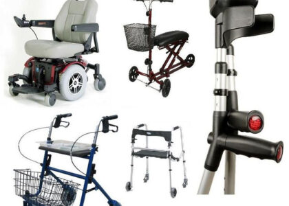 Global Mobility Aids and Transportation Equipment Industry